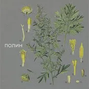 Нікіта Кісельов